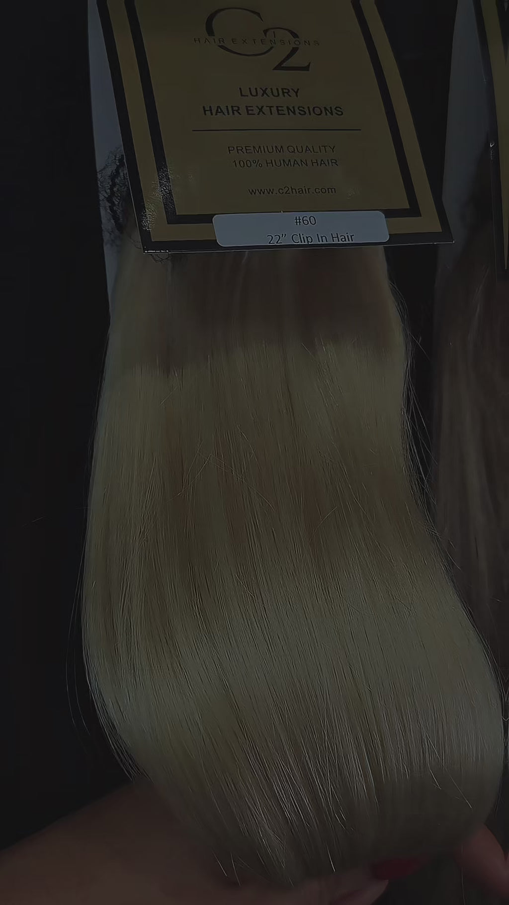 C2 Clip Ins Seamless Extensions