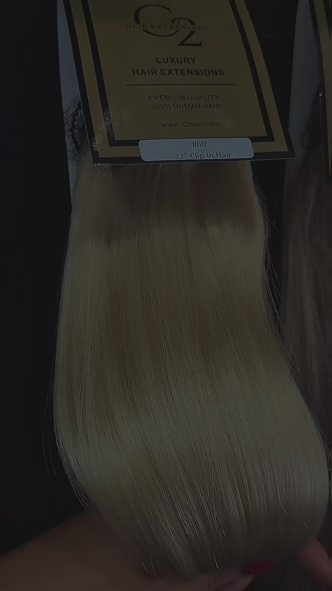 C2 Clip Ins Seamless Extensions